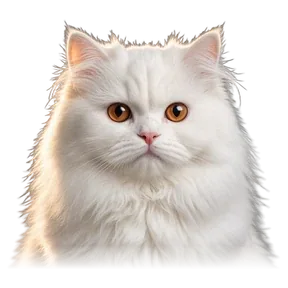 Persian