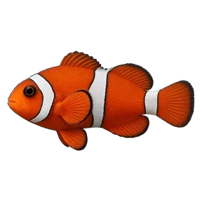 Clownfish