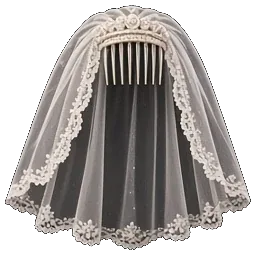 Veil